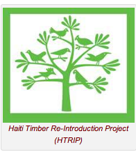 haiti reforestation project